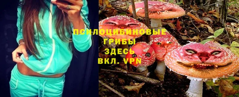 МЕГА зеркало  Ряжск  Псилоцибиновые грибы MAGIC MUSHROOMS 